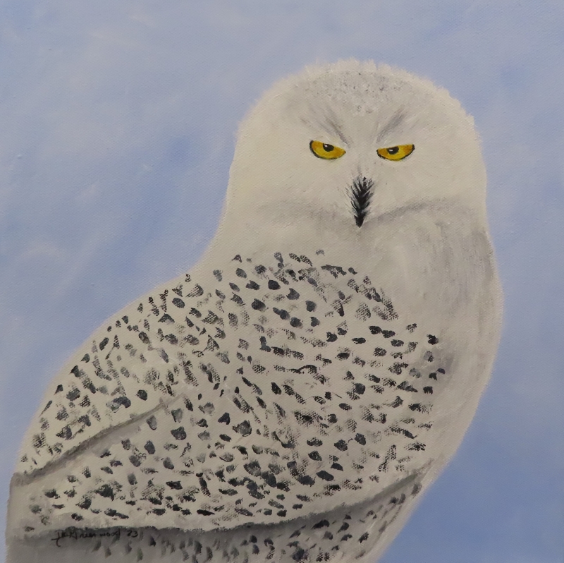 Snowy Owl by artist Jessica Greenwood